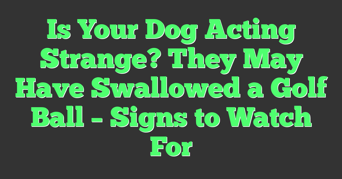 Is Your Dog Acting Strange? They May Have Swallowed a Golf Ball – Signs to Watch For