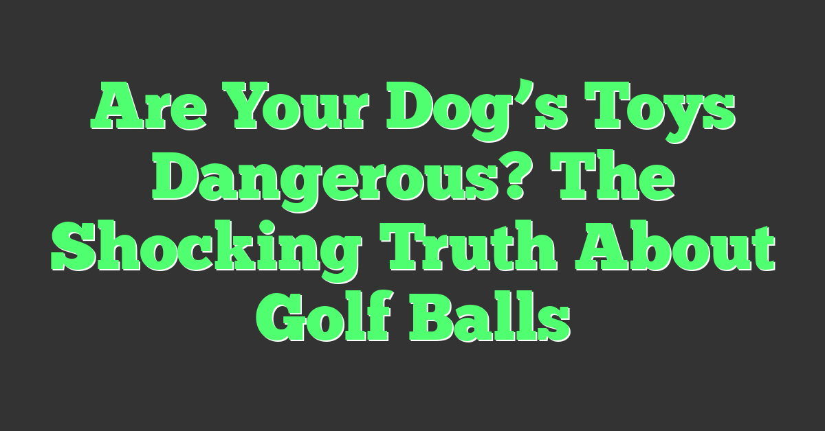 Are Your Dog’s Toys Dangerous? The Shocking Truth About Golf Balls